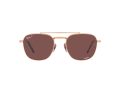 Ray-Ban Frank Ii Titanium Sonnenbrille RB 8258 3140/AF