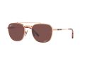 Ray-Ban Frank Ii Titanium Sonnenbrille RB 8258 3140/AF