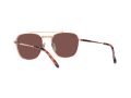 Ray-Ban Frank Ii Titanium Sonnenbrille RB 8258 3140/AF