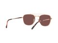 Ray-Ban Frank Ii Titanium Sonnenbrille RB 8258 3140/AF