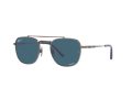 Ray-Ban Frank Ii Titanium Sonnenbrille RB 8258 3142/S2