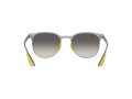 Ray-Ban Sonnenbrille RB 8327M F080/11