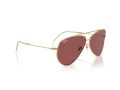 Ray-Ban Aviator Reverse Sonnenbrille RB R0101S 001/69