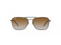Ray-Ban Caravan Reverse Sonnenbrille RB R0102S 002/CB