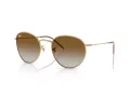 Ray-Ban Round Reverse Sonnenbrille RB R0103S 001/CB