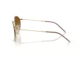 Ray-Ban Round Reverse Sonnenbrille RB R0103S 001/CB