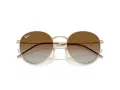 Ray-Ban Round Reverse Sonnenbrille RB R0103S 001/CB