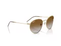 Ray-Ban Round Reverse Sonnenbrille RB R0103S 001/CB