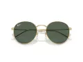 Ray-Ban Round Reverse Sonnenbrille RB R0103S 001/VR