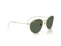 Ray-Ban Round Reverse Sonnenbrille RB R0103S 001/VR