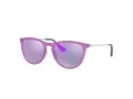 Ray-Ban Junior Erika Sonnenbrille RJ 9060S 7008/4V
