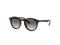 Ray-Ban Sonnenbrille RJ 9064S 100/11