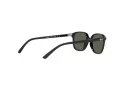 Ray-Ban Leonard Jr Sonnenbrille RJ 9093S 100/71