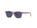 Ray-Ban Leonard Jr Sonnenbrille RJ 9093S 7112/80