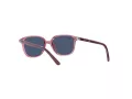 Ray-Ban Leonard Jr Sonnenbrille RJ 9093S 7112/80