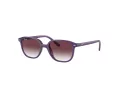 Ray-Ban Junior Leonard Sonnenbrille 9093S 713136