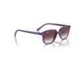 Ray-Ban Junior Leonard Sonnenbrille 9093S 713136