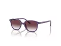 Ray-Ban Junior Leonard Sonnenbrille 9093S 713136