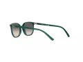 Ray-Ban Junior Elliot Sonnenbrille RJ 9097S 713011