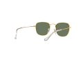 Ray-Ban Junior Frank Sonnenbrille RJ 9557S 286/71
