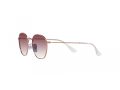 Ray-Ban Junior Rob Sonnenbrille RJ 9572S 291/8H