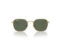 Ray-Ban Sonnenbrille RJ 9594S 223/71