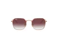 Ray-Ban Sonnenbrille RJ 9594S 291/8H