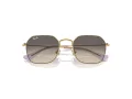 Ray-Ban Sonnenbrille RJ 9594S 292/11