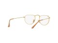 Ray-Ban Elon Brillen 3958V 3086