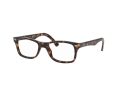 Ray-Ban Brillen RX 5228 2012