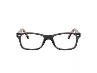Ray-Ban Brillen RX 5228 5629