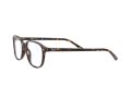 Ray-Ban Leonard Brillen RX 5393 2012