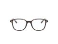 Ray-Ban Leonard Brillen RX 5393 2012