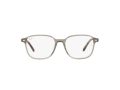 Ray-Ban Leonard Brillen RX 5393 8178