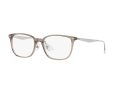 Ray-Ban Brillen 5403D 8274