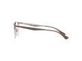 Ray-Ban Brillen RX 6421 2973