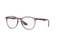 Ray-Ban Erika Brillen RX 7046 8139