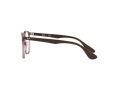 Ray-Ban Erika Brillen RX 7046 8139