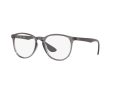 Ray-Ban Erika Brillen RX 7046 8140