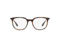 Ray-Ban Brillen RX 7190 2012