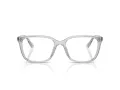 Ray-Ban Brillen RX 7248D 8411