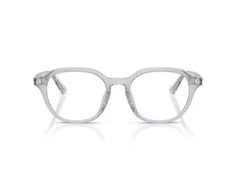 Ray-Ban Brillen RX 7259D 8411