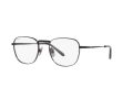 Ray-Ban Frank Titanium Brillen RX 8258V 1237