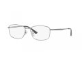 Ray-Ban Brillen RX 8775D 1047
