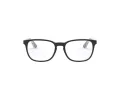 Ray-Ban Brillen RY 1592 3529
