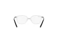 Ray-Ban Leonard Jr Brillen RY 9093V 3541