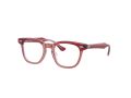 Ray-Ban Brillen RY 9098V 3960