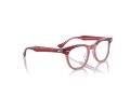 Ray-Ban Brillen RY 9098V 3960