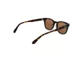 Superdry Sonnenbrille SDS 5043 102
