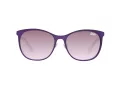 Superdry Sonnenbrille SDS Echoes 020